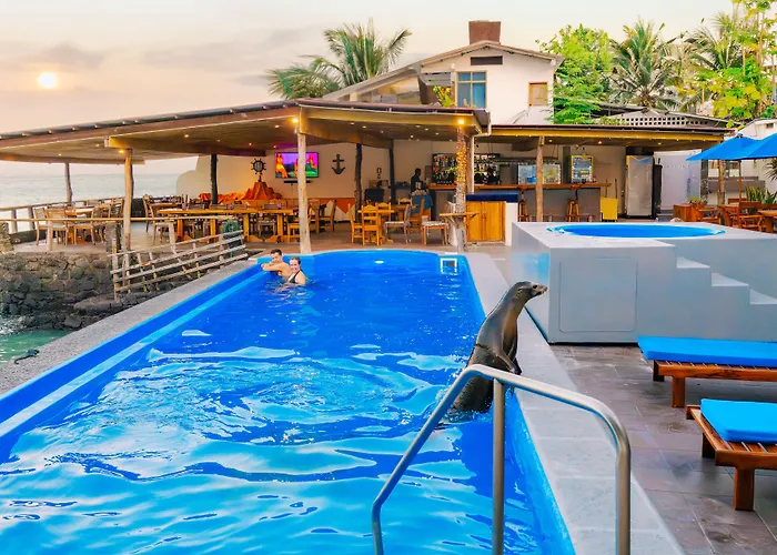 Hotel with pool: Hotel Solymar